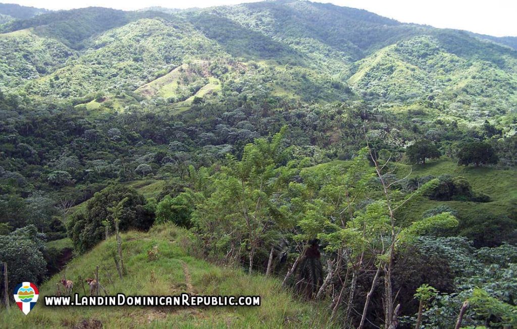 Very big versatile land close to Nagua