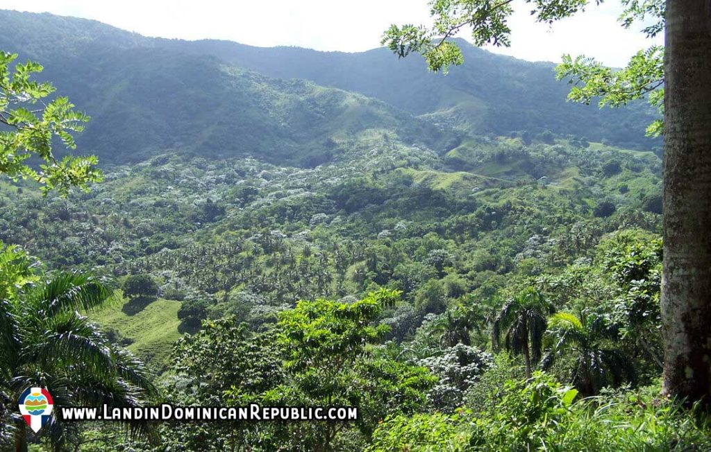 Very big versatile land close to Nagua