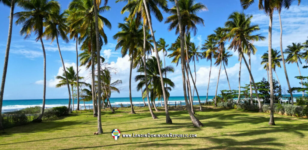 Exclusive Beachfront Lot For Sale At Coson Beach - Las Terrenas