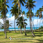 Exclusive Beachfront Lot For Sale At Coson Beach - Las Terrenas