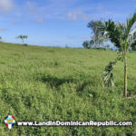 Flat land For Sale on the heights of Las Terrenas