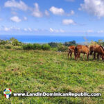 Flat land For Sale on the heights of Las Terrenas
