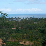 Large Plot W/ Ocean Views For Sale At Coson - Las Terrenas